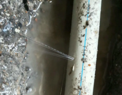 温州市测漏水哪家好