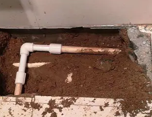 温州市测漏水哪家好