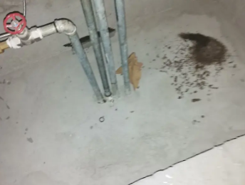 温州市卫生间测漏水价格明细