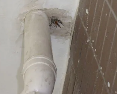 温州市漏水检测哪家好